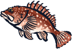 魚のイラスト