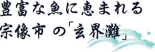 豊富な魚に恵まれる宗像市の玄界灘