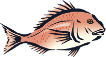 魚のイラスト