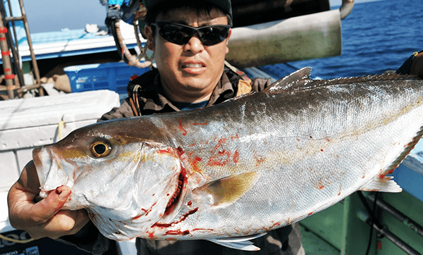 海正丸